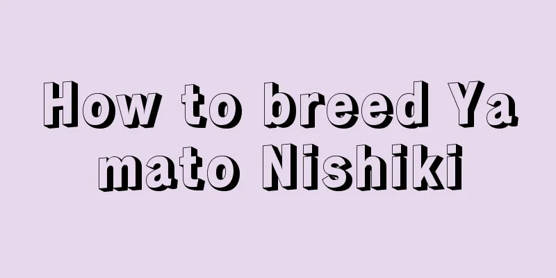 How to breed Yamato Nishiki