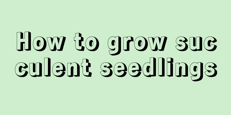 How to grow succulent seedlings