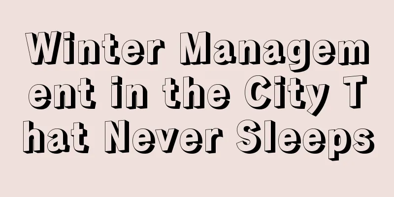 Winter Management in the City That Never Sleeps