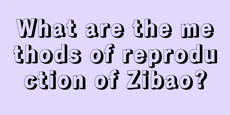 What are the methods of reproduction of Zibao?