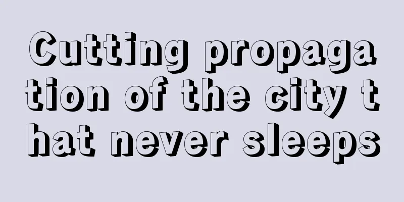 Cutting propagation of the city that never sleeps