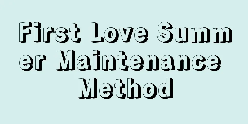 First Love Summer Maintenance Method