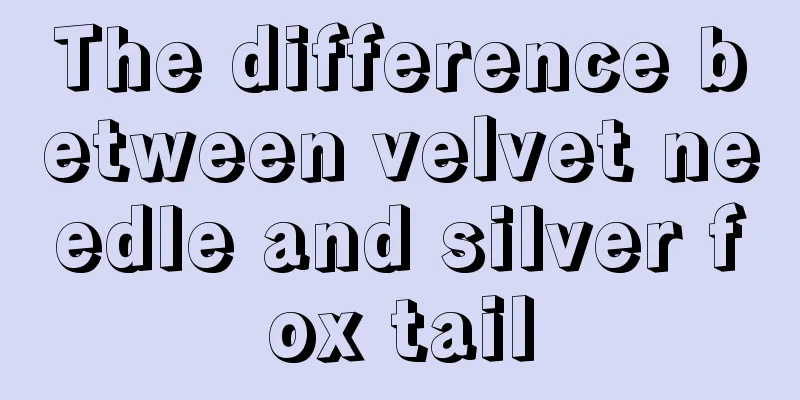 The difference between velvet needle and silver fox tail