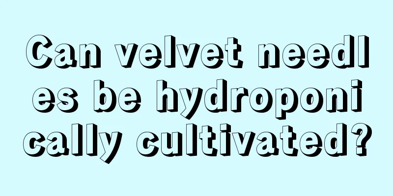 Can velvet needles be hydroponically cultivated?