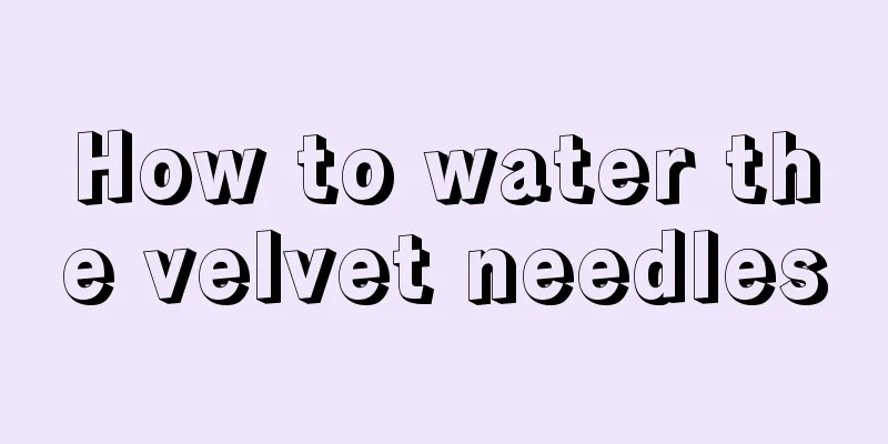 How to water the velvet needles