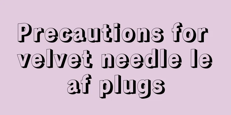 Precautions for velvet needle leaf plugs