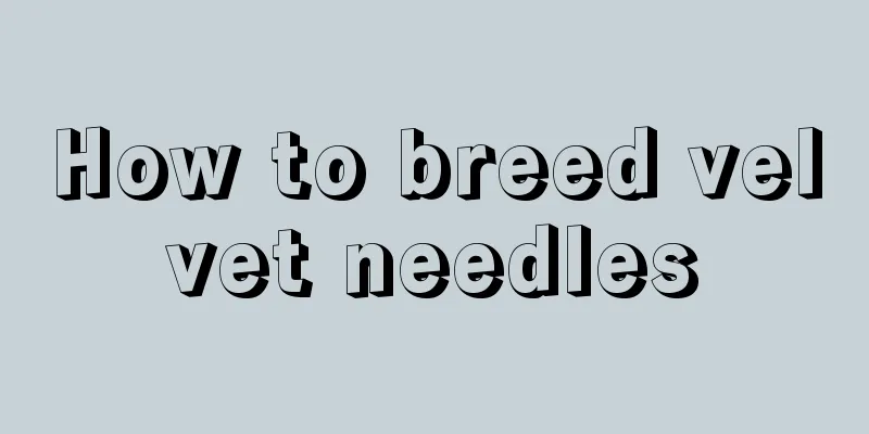 How to breed velvet needles