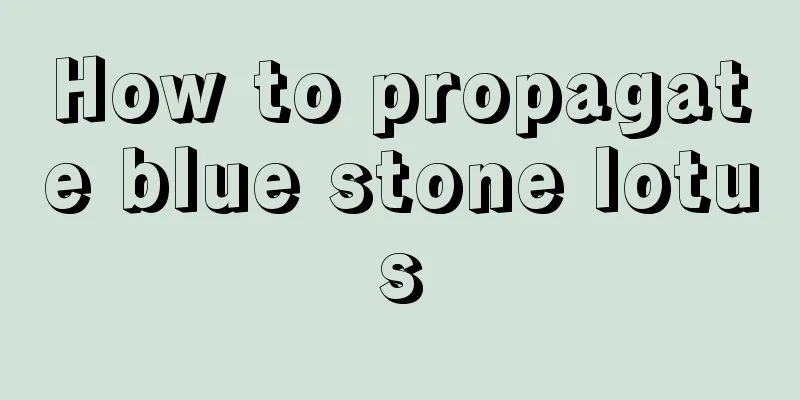 How to propagate blue stone lotus