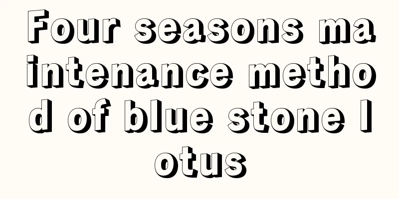 Four seasons maintenance method of blue stone lotus