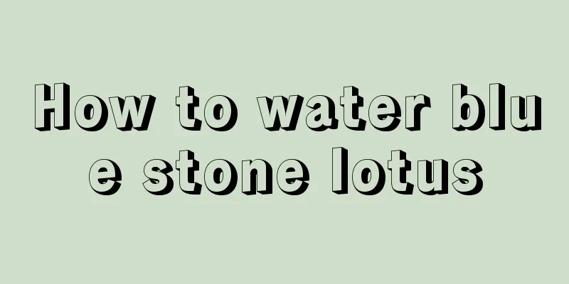 How to water blue stone lotus