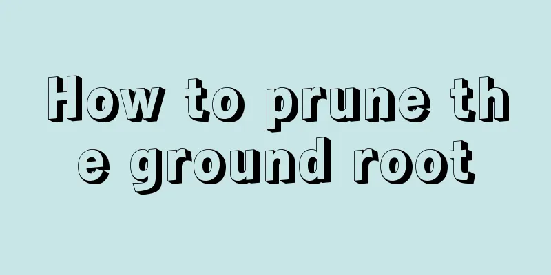 How to prune the ground root