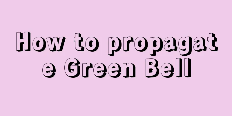 How to propagate Green Bell