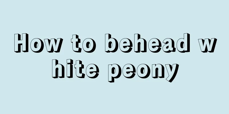 How to behead white peony