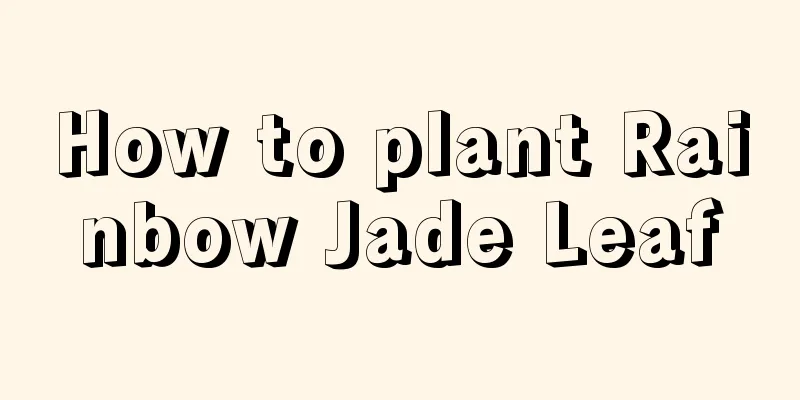 How to plant Rainbow Jade Leaf