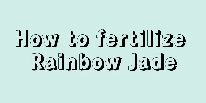 How to fertilize Rainbow Jade