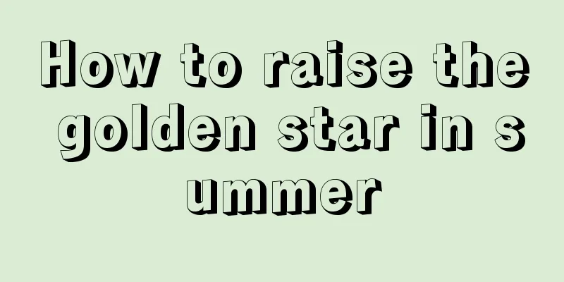 How to raise the golden star in summer