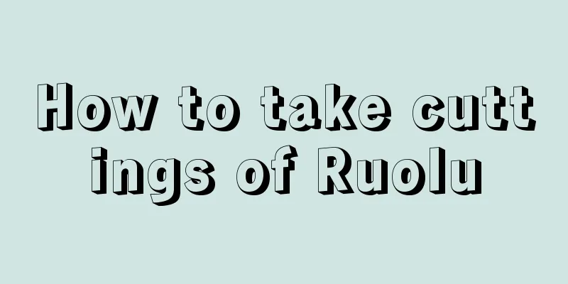 How to take cuttings of Ruolu