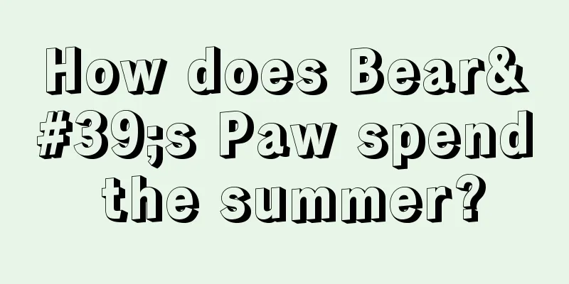 How does Bear's Paw spend the summer?