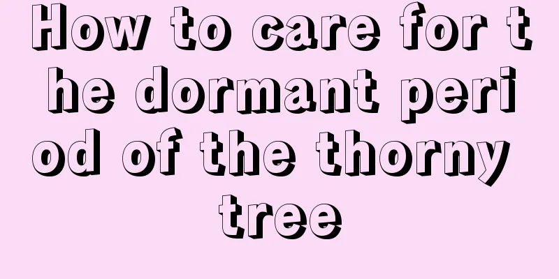 How to care for the dormant period of the thorny tree