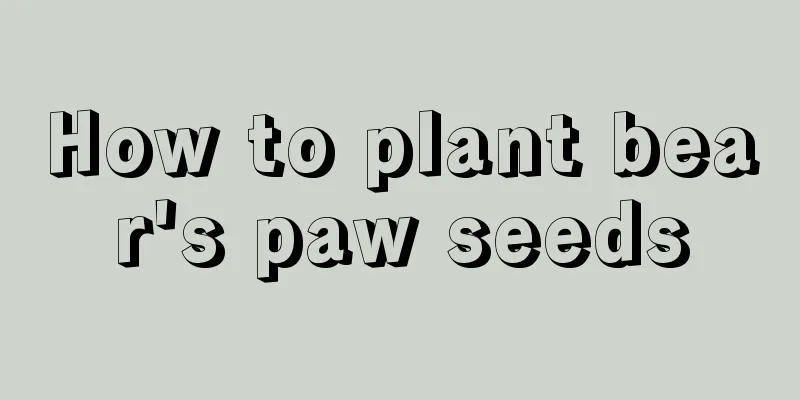 How to plant bear's paw seeds