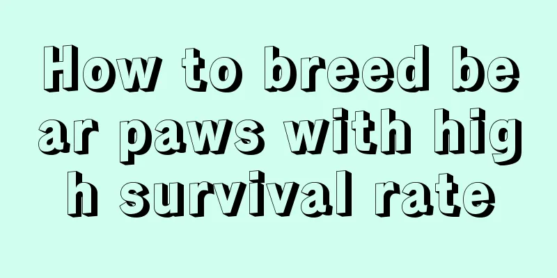 How to breed bear paws with high survival rate