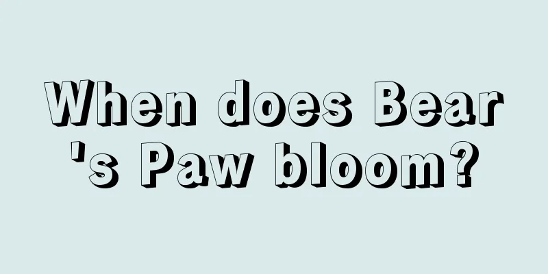 When does Bear's Paw bloom?