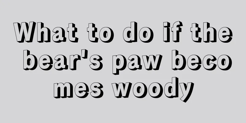 What to do if the bear's paw becomes woody