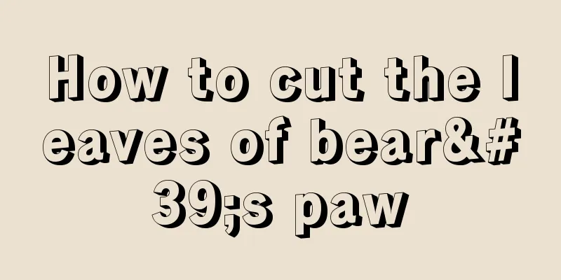 How to cut the leaves of bear's paw