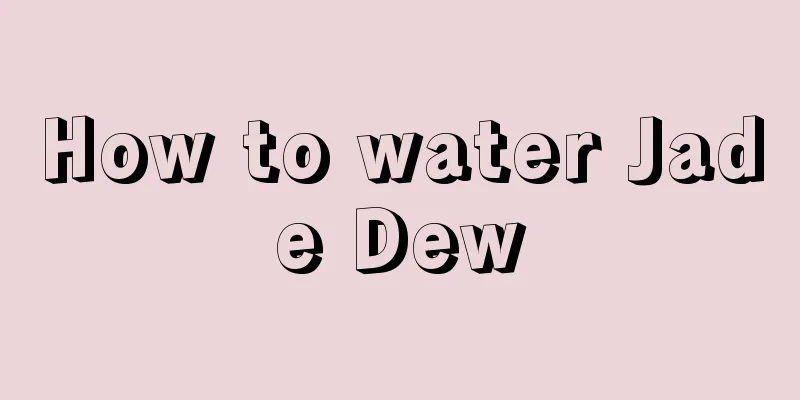 How to water Jade Dew