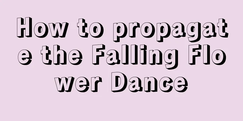 How to propagate the Falling Flower Dance