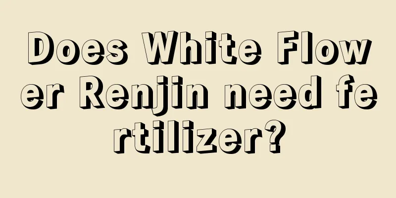 Does White Flower Renjin need fertilizer?