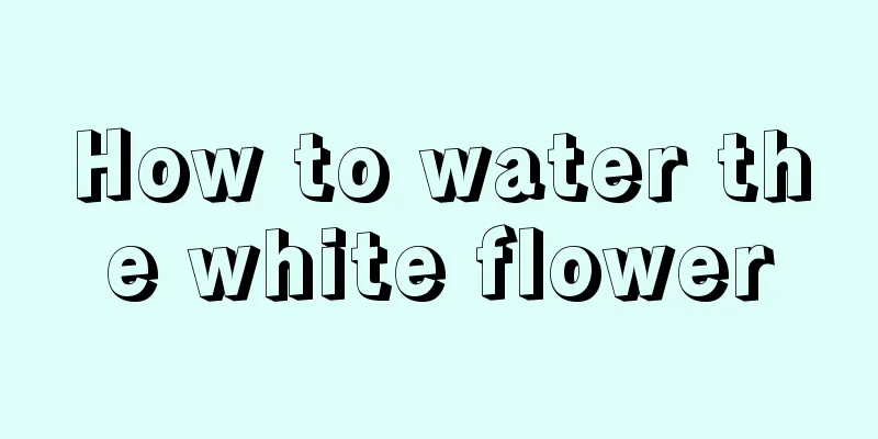 How to water the white flower