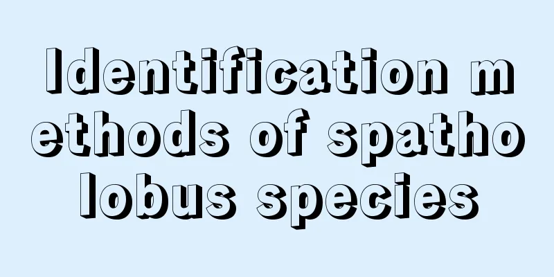 Identification methods of spatholobus species