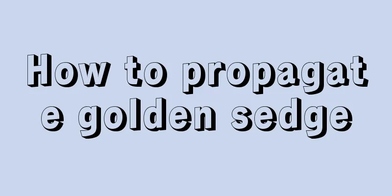 How to propagate golden sedge