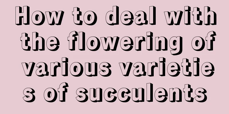 How to deal with the flowering of various varieties of succulents