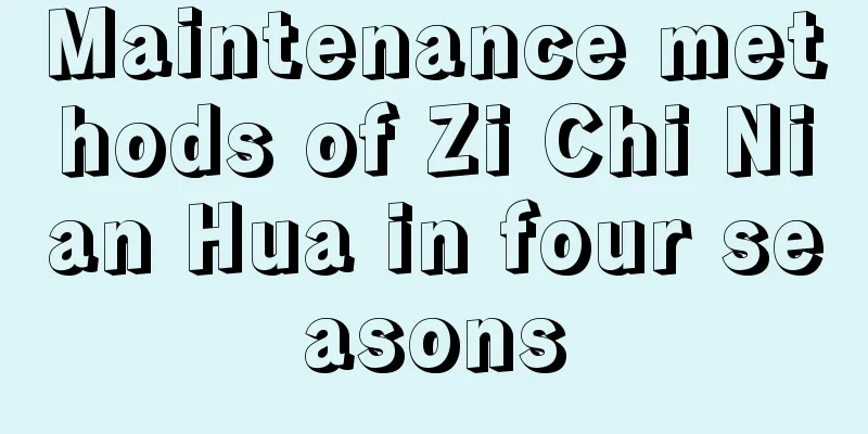 Maintenance methods of Zi Chi Nian Hua in four seasons