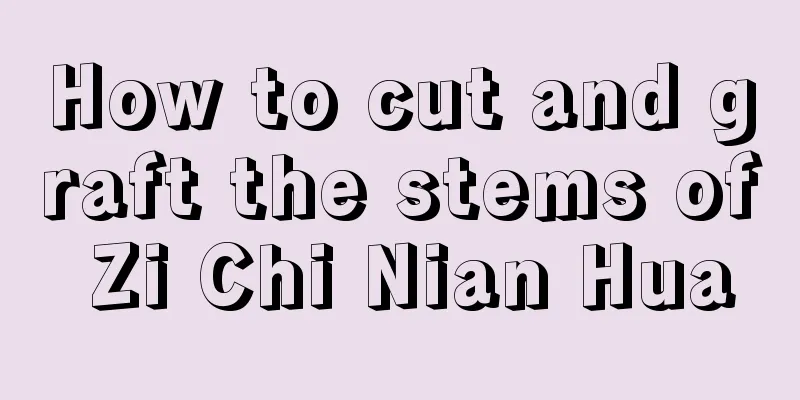 How to cut and graft the stems of Zi Chi Nian Hua