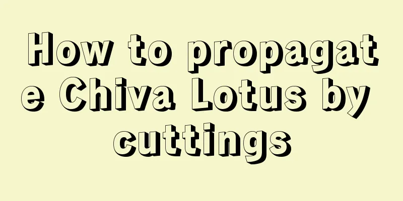 How to propagate Chiva Lotus by cuttings