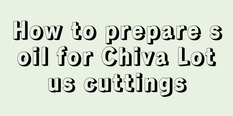 How to prepare soil for Chiva Lotus cuttings