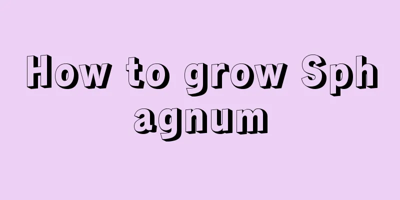 How to grow Sphagnum