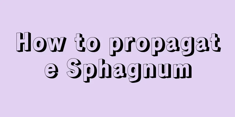 How to propagate Sphagnum