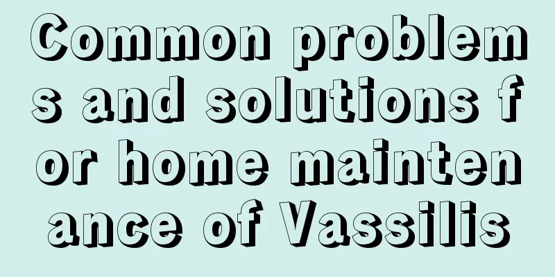 Common problems and solutions for home maintenance of Vassilis