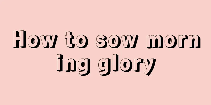 How to sow morning glory