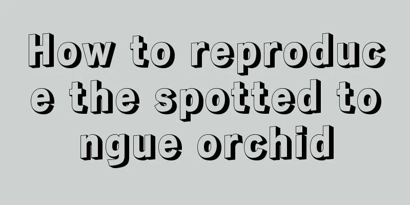 How to reproduce the spotted tongue orchid