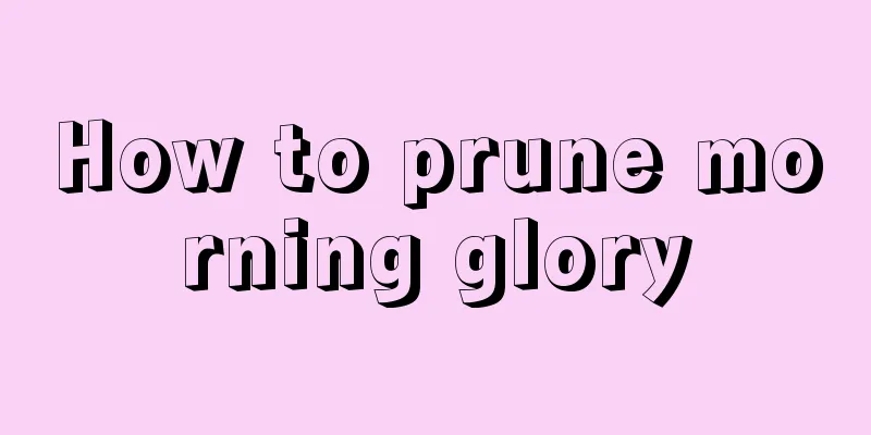 How to prune morning glory