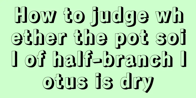 How to judge whether the pot soil of half-branch lotus is dry