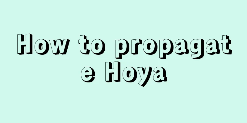 How to propagate Hoya