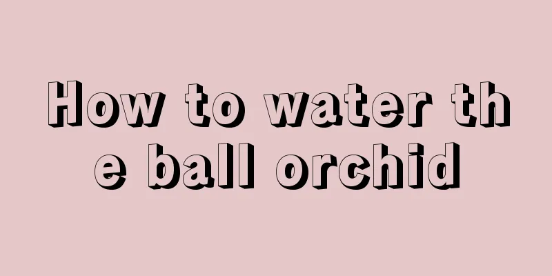 How to water the ball orchid