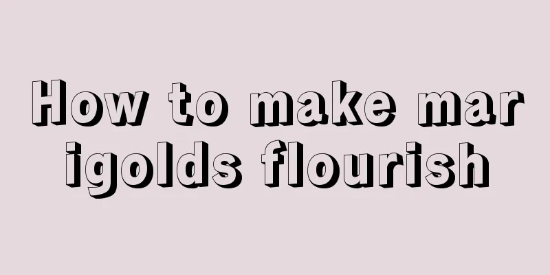 How to make marigolds flourish