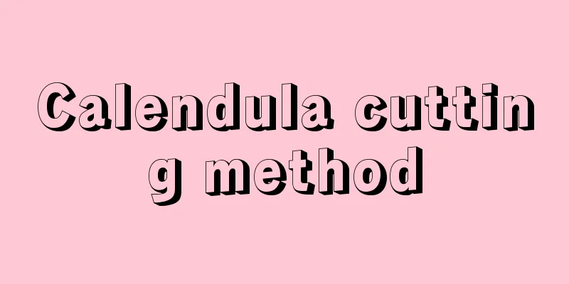 Calendula cutting method